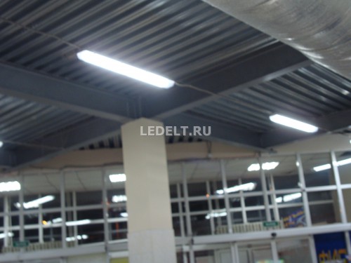    ELT-4003-40-4200